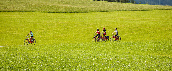 Austria ciclabile, famiglia in bicicletta attraverso un vasto prato verde