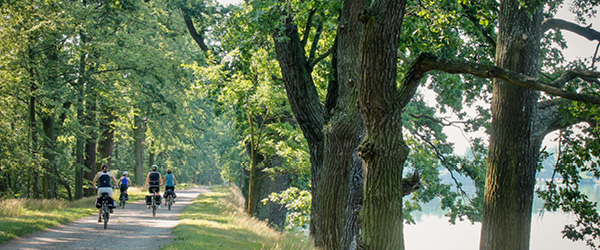 Ciclisti lungo un percorso ombreggiato tra gli alberi vicino a un lago, vacanze in bici 