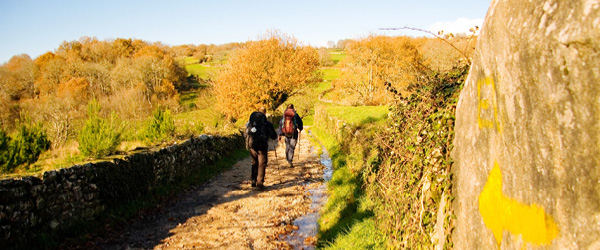 camminatori su un percorso tra la natura in Galizia sul Cammino di Santiago