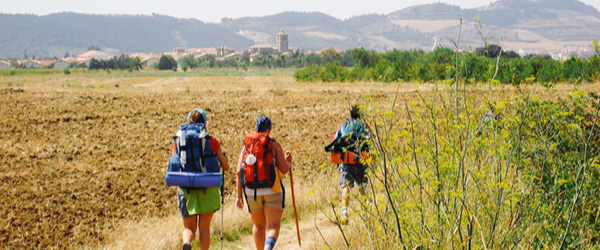 Pellegrini che camminano su un sentiero sterrato attraverso campi dorati sul Cammino di Santiago.