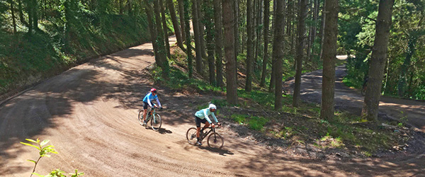 Ciclisti lungo un sentiero sterrato immerso nella pineta lungo la Costa Brava, Spagna