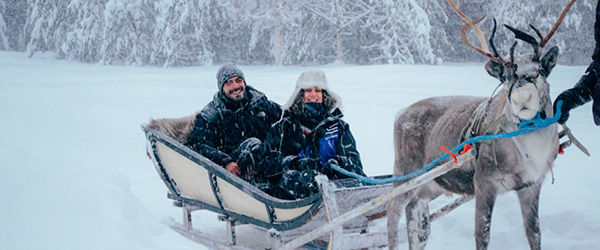 Slitta trainata da cani attraversa paesaggi innevati in Lapponia, Finlandia.