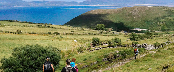 Escursionisti su un sentiero della Kerry Way, circondati da colline verdi.