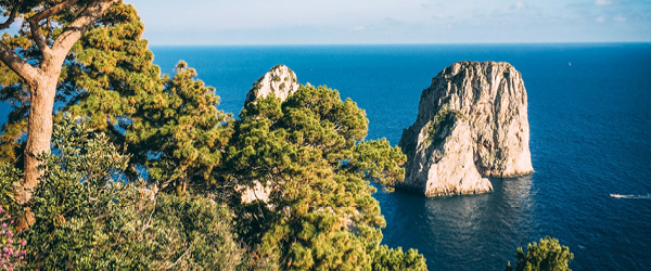 Veduta dei Faraglioni di Capri tra la vegetazione mediterranea, Italia.