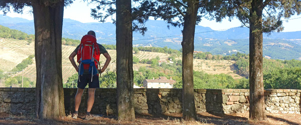 Escursionista che osserva il panorama sotto gli alberi lungo il sentiero della Via degli Dei.