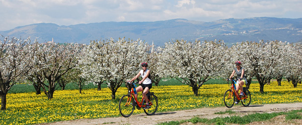 Ciclisti in viaggio con 