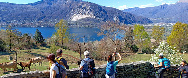 Escursionisti in vacanza con Girolibero lungo la Via delle Genti con vista sul Lago Maggiore e le montagne circostanti. Viaggi trekking organizzati.
