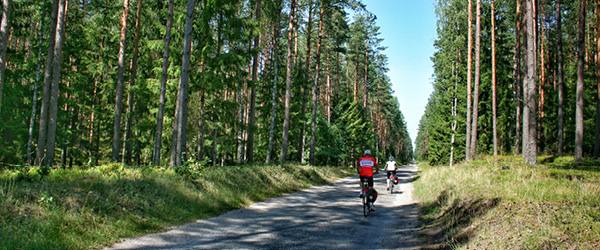 Cicloturisti su una strada di campagna circondata da alberi nella regione dei Laghi Masuri, Polonia.