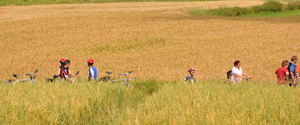 Gruppo durante un viaggio in bici Girolibero tra i campi dorati della Masuria, regione dei laghi in Polonia.