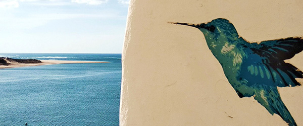 Colibrì dipinto su un muro vicino all'oceano, Rota Vicentina, Portogallo