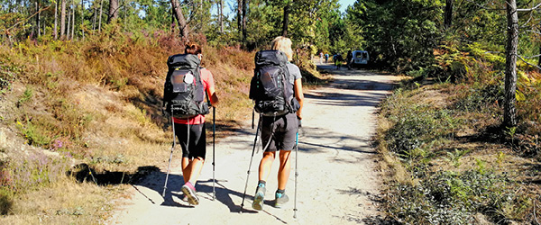 Pellegrini che camminano lungo un sentiero alberato sul Cammino di Santiago, Spagna, in una giornata soleggiata.