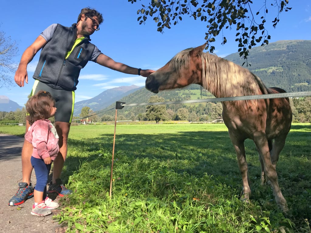 Papà e bambina accarezzano un cavallo su un prato verde lungo il percorso