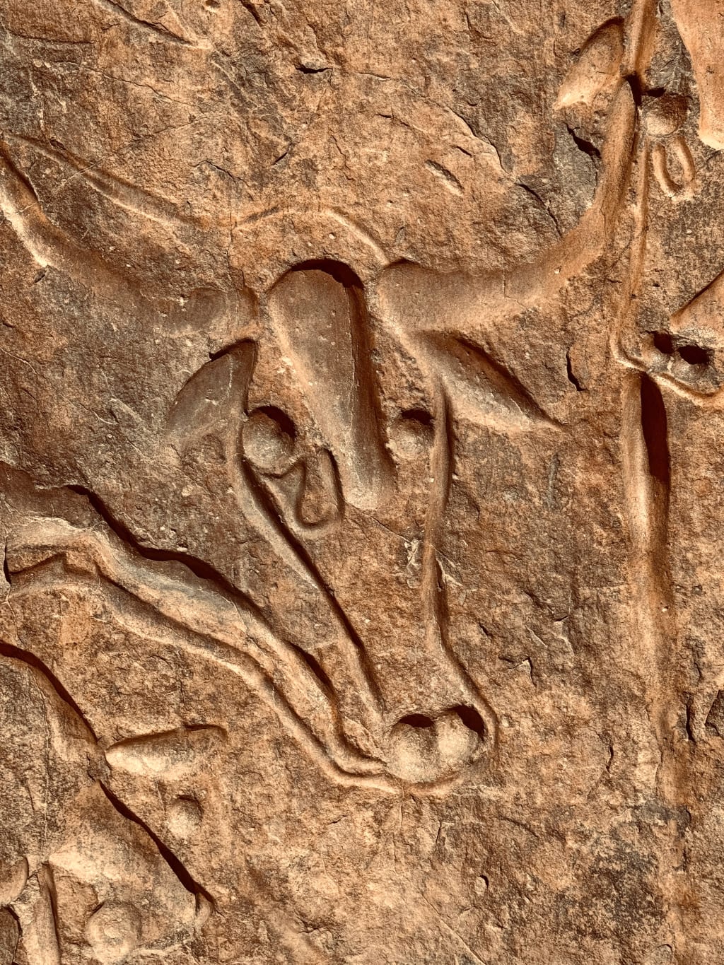Incisione rupestre raffigurante un animale in un sito archeologico dell'Algeria.