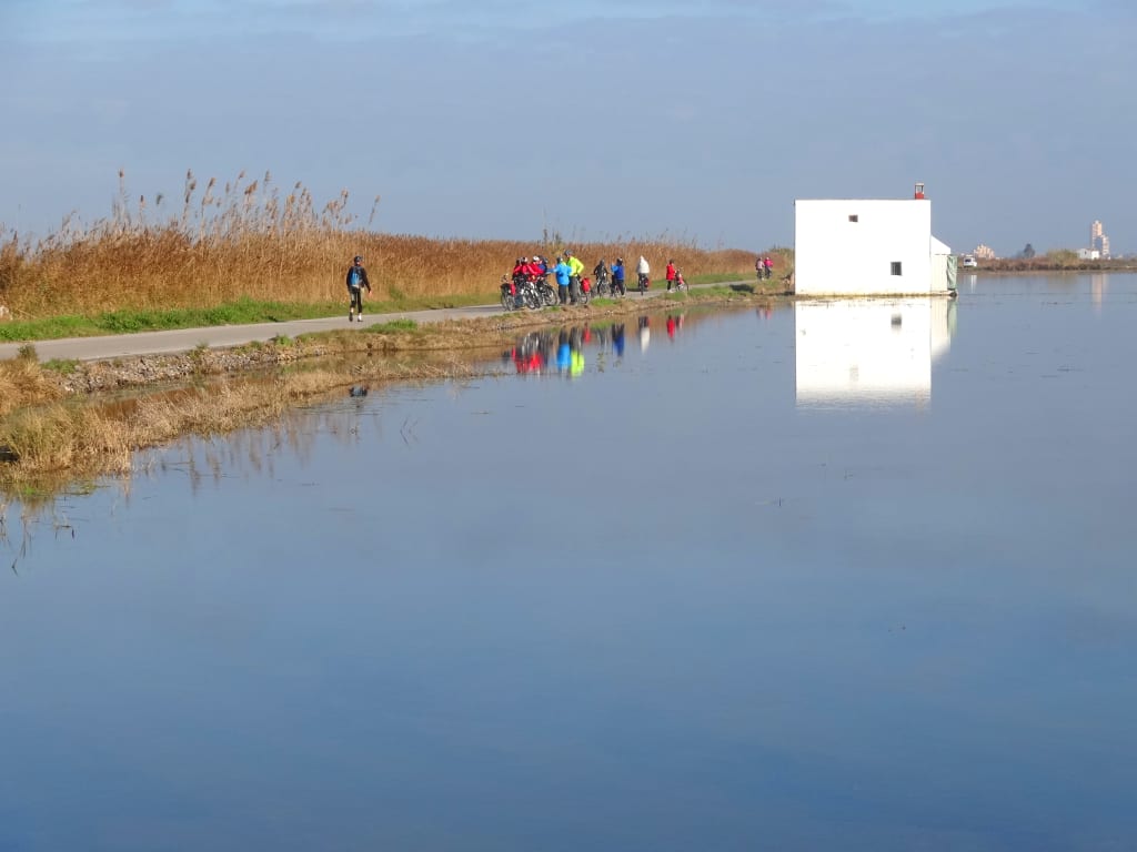 Parco Naturale dell'Albufera con lago e casetta tradizionale, paesaggio naturale vicino a Valencia