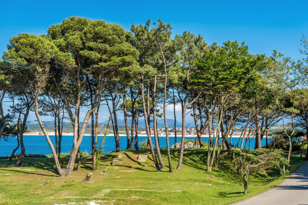 Area verde su una collina vista mare, Cammino del Nord in Spagna