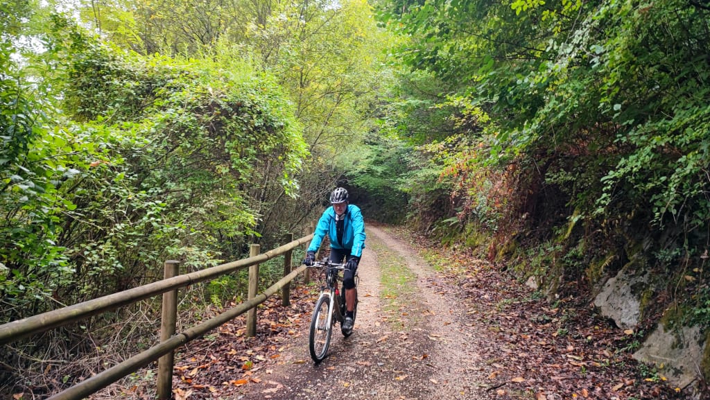 Ciclista su un sentiero ombreggiato tra gli alberi nella regione dei Paesi Baschi, Spagna.