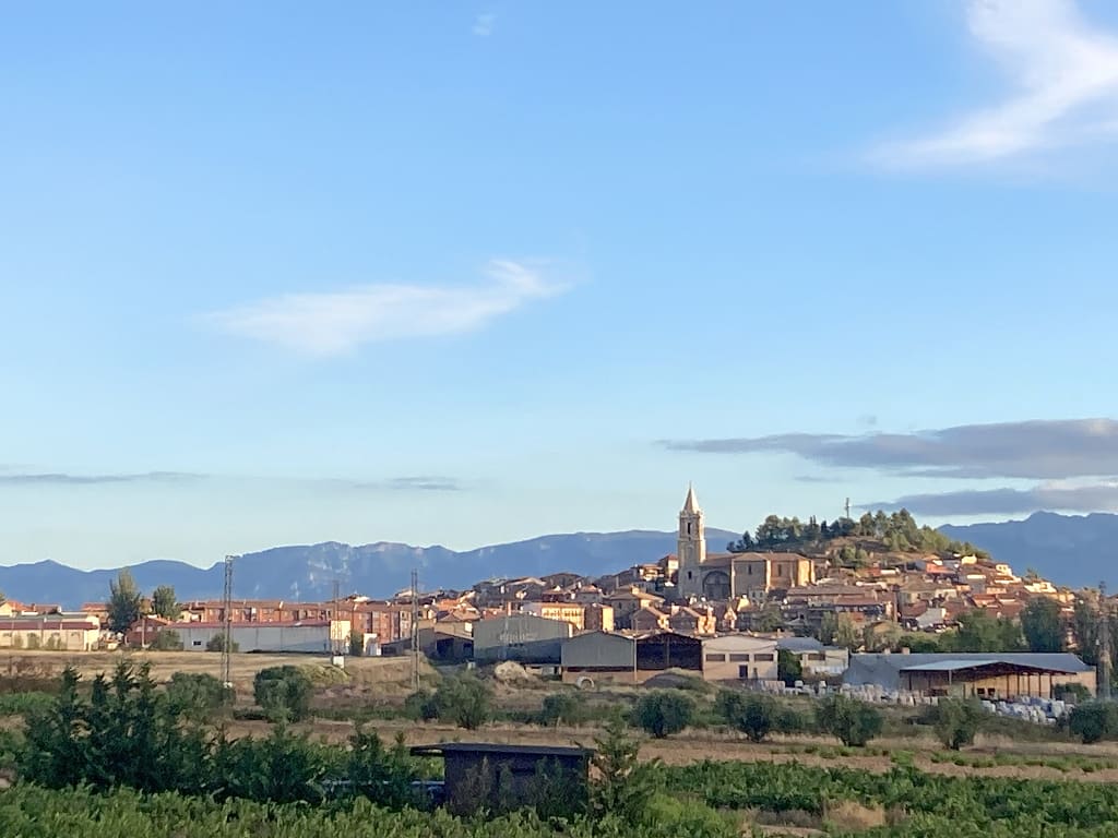 Vista panoramica sulla città medievale di Estella-Lizarra tra colline e vigneti della Navarra