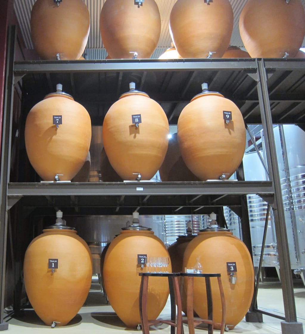 Grandi botti di vino in cantina tradizionale della Navarra