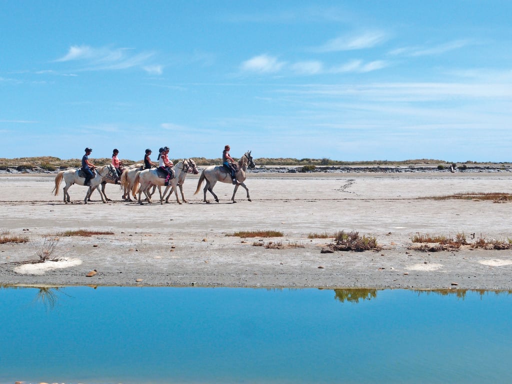 Gruppo a cavallo tra le saline e i campi di lavanda in Provenza