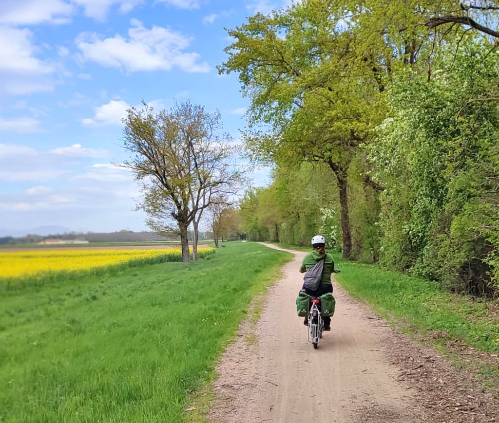 Cicloturista su pista ciclabile nella campagna alsaziana tra campi verdi e vigneti