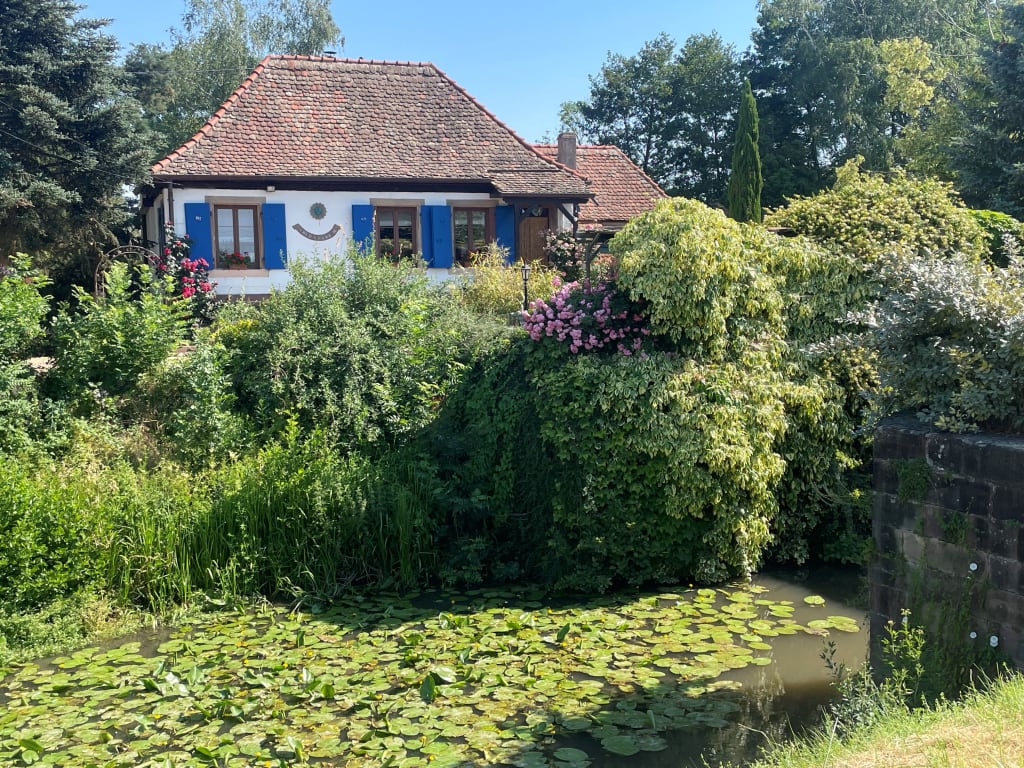 Mulino ad acqua immerso nel verde lungo un canale della campagna alsaziana vicino a Strasburgo