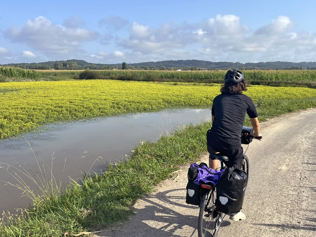 Cicloturista su pista ciclabile tra campi e colline nel sud della Francia, vacanza attiva nella natura