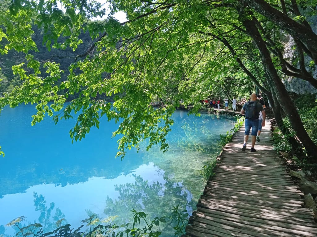 Vista panoramica su un lago turchese circondato da alberi, Parco Nazionale di Plitvice