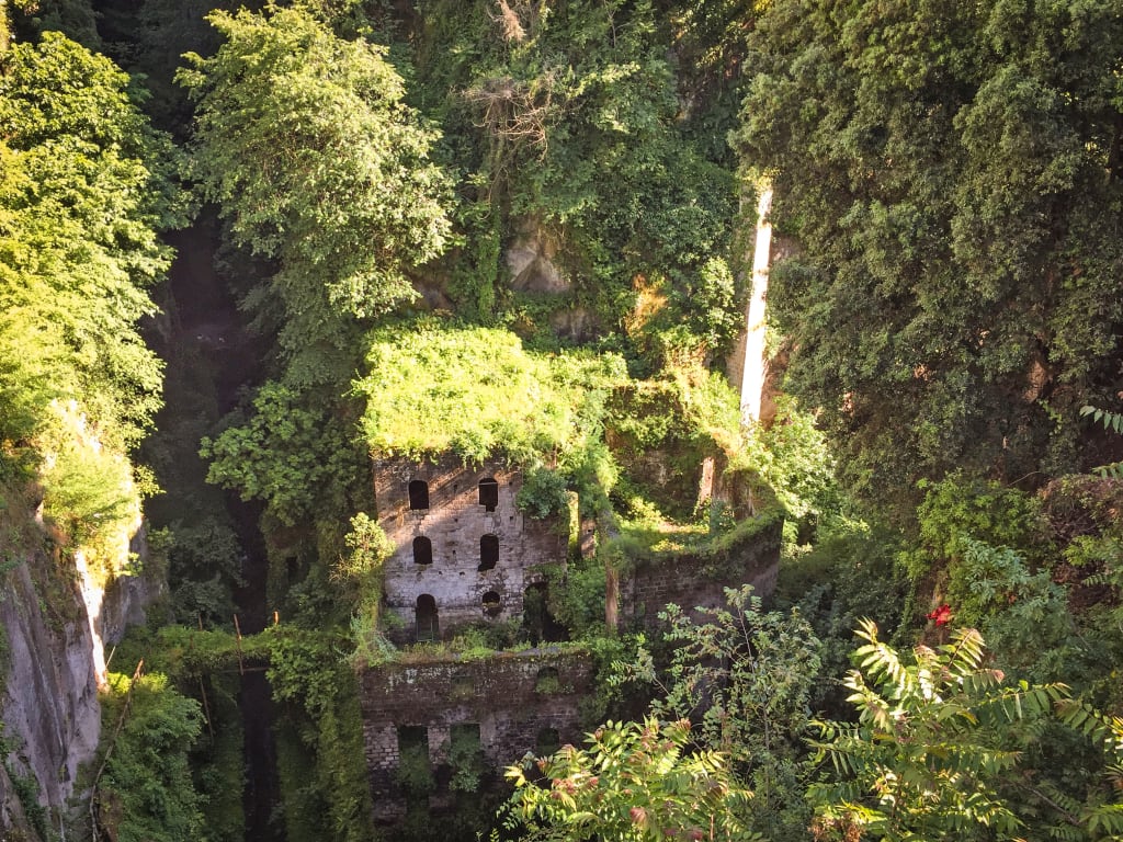 Sentiero ombreggiato tra alberi e vegetazione, Sorrento.