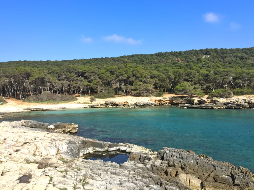 Caletta rocciosa di Porto Selvaggio, costa ionica del Salento (Puglia) – pineta sullo sfondo e mare turchese, ideale per trekking costiero.