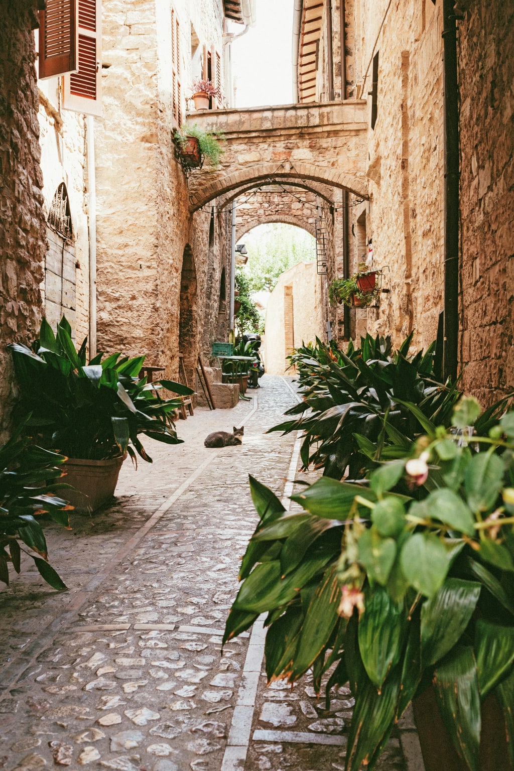 Scorcio di un vicolo con piante e fiori, centro storico di Assisi