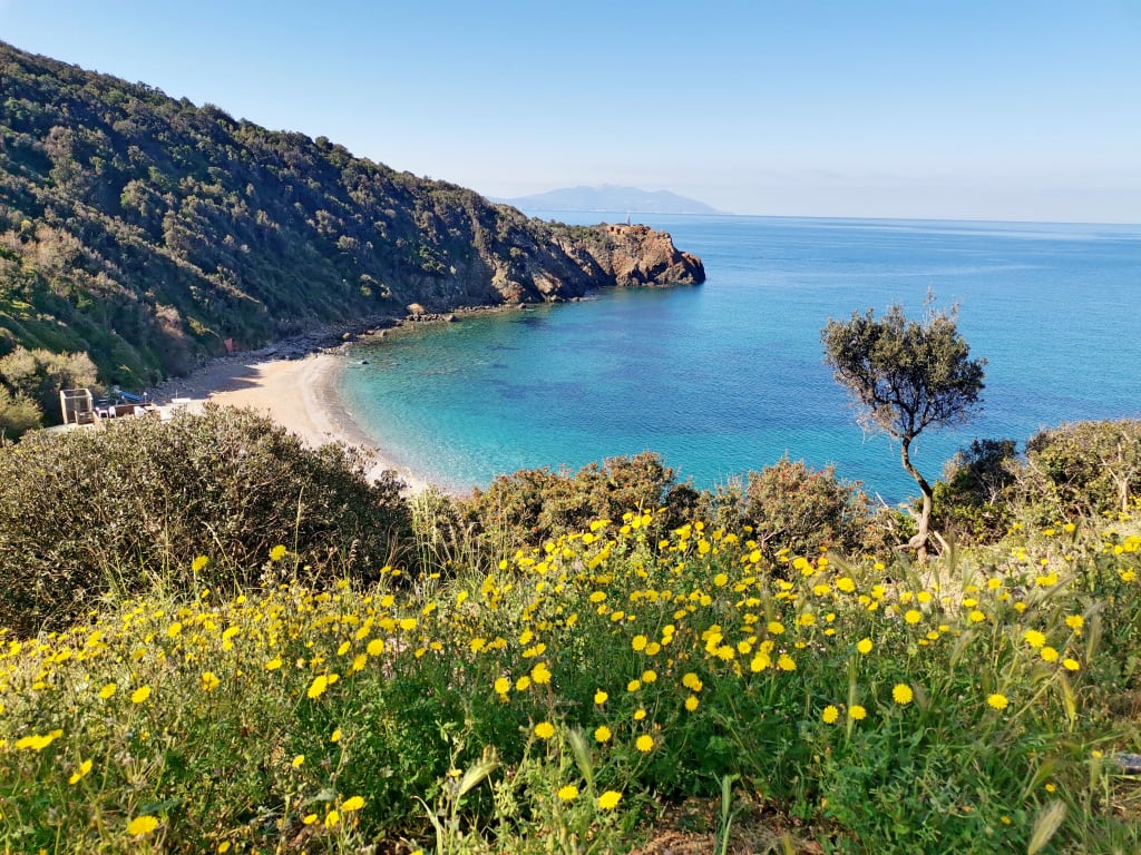 Scogliera panoramica con vista mare e vegetazione mediterranea, Costa degli Etruschi.