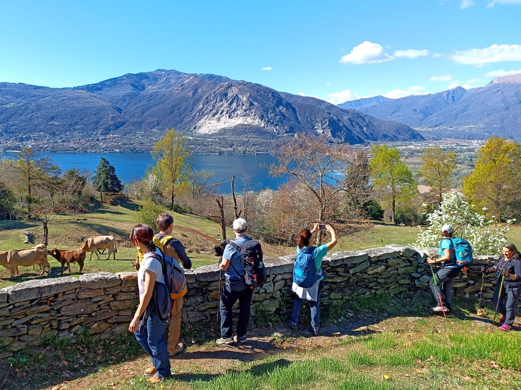 Escursionisti in vacanza con Girolibero lungo la Via delle Genti con vista sul Lago Maggiore e le montagne circostanti. Viaggi trekking organizzati.