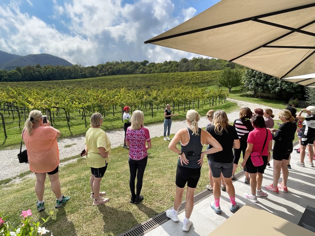 Gruppo di camminatori durante una degustazione nei Colli Euganei