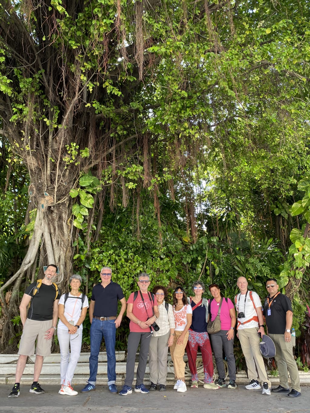 Gruppo di turisti tra alberi monumentali nella giungla cambogiana, tour guidato nella natura