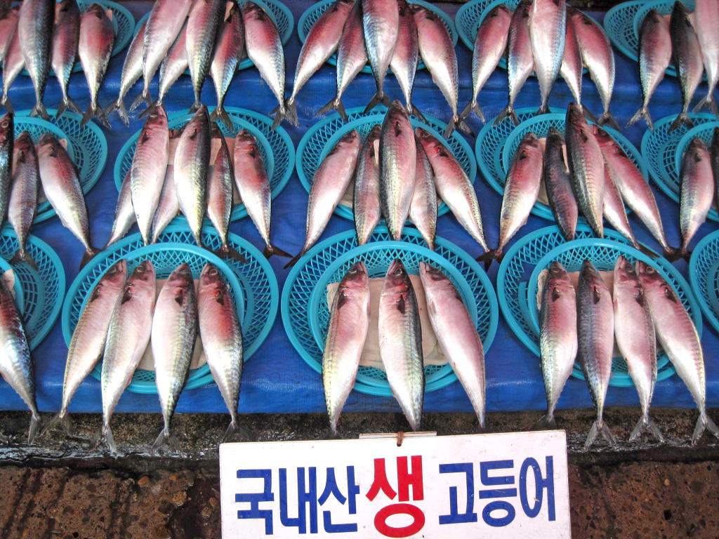 Pesci esposti in un mercato coreano.