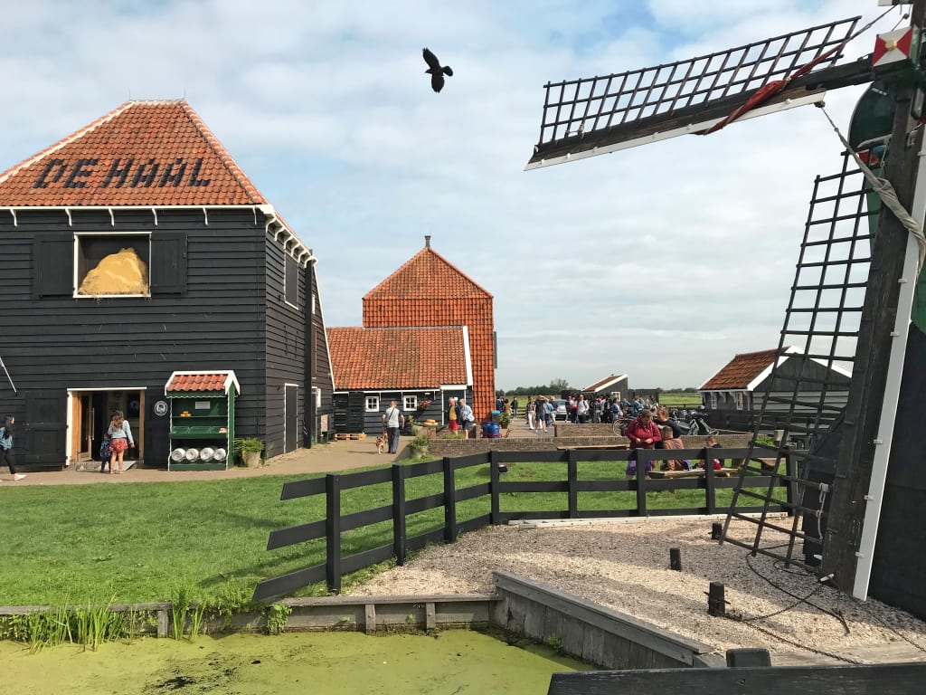 Mulino a vento tradizionale vicino a case rosse a Zaanse Schans, Paesi Bassi.