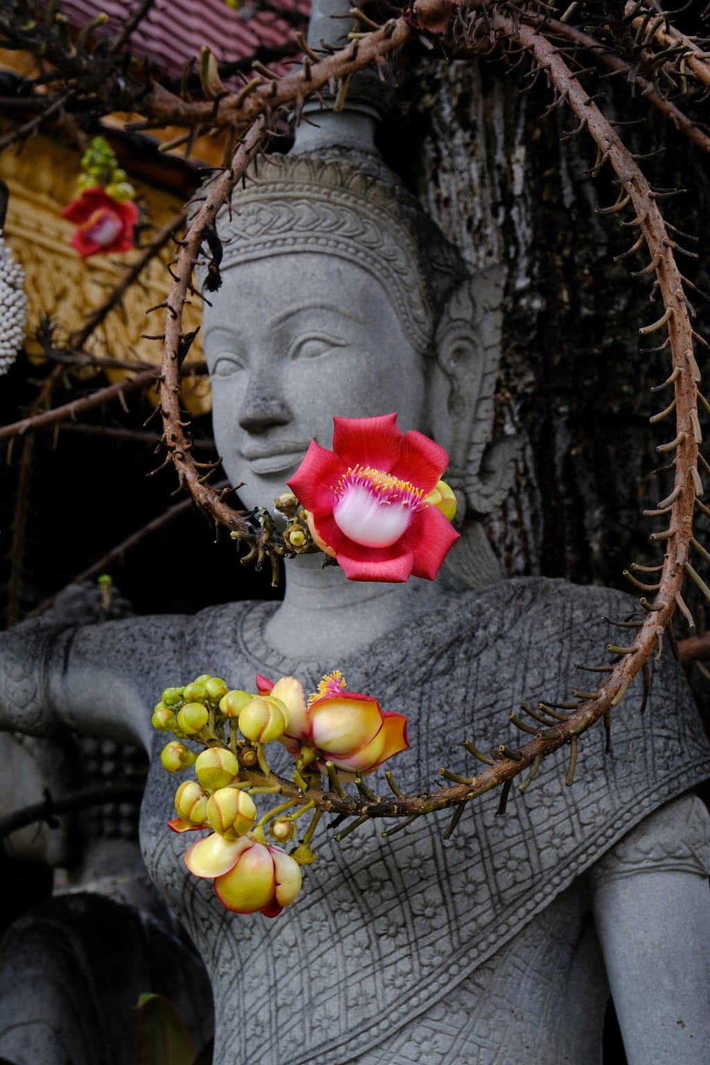 Statua di Buddha con fiori di cannonball tree al Wat Preah Prom Rath, centro storico di Siem Reap