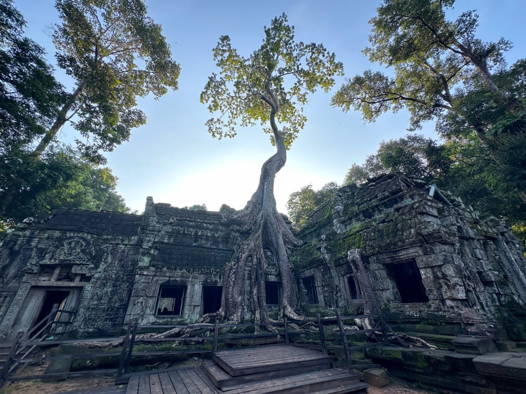 Ingresso nascosto tra la giungla ad Angkor Wat, Cambogia