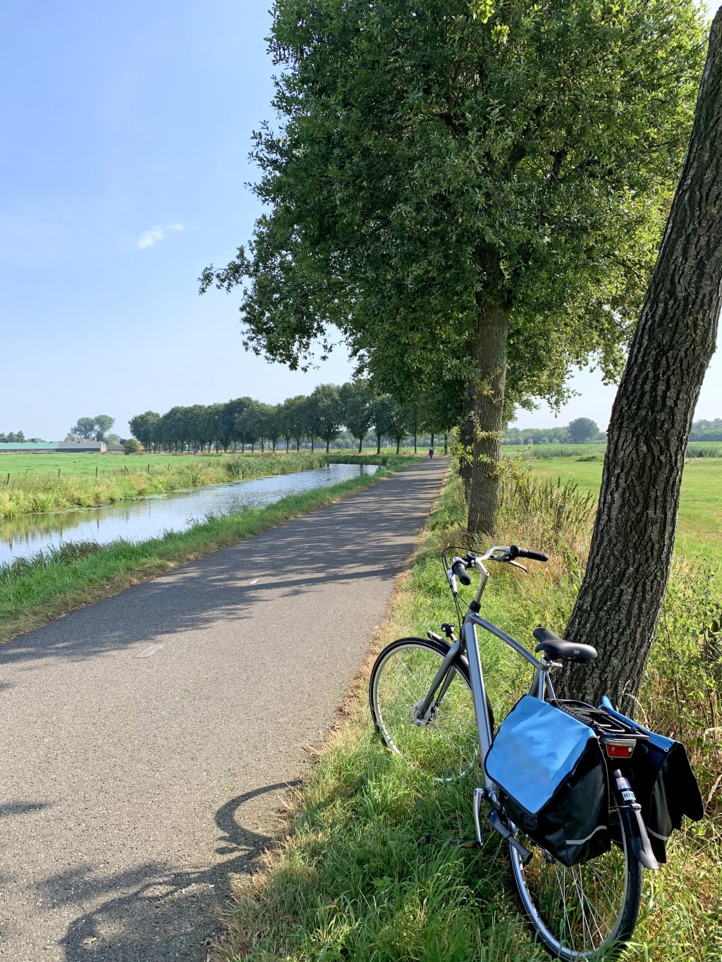 Bicicletta appoggiata lungo un canale alberato, simbolo del cicloturismo nei Paesi Bassi.