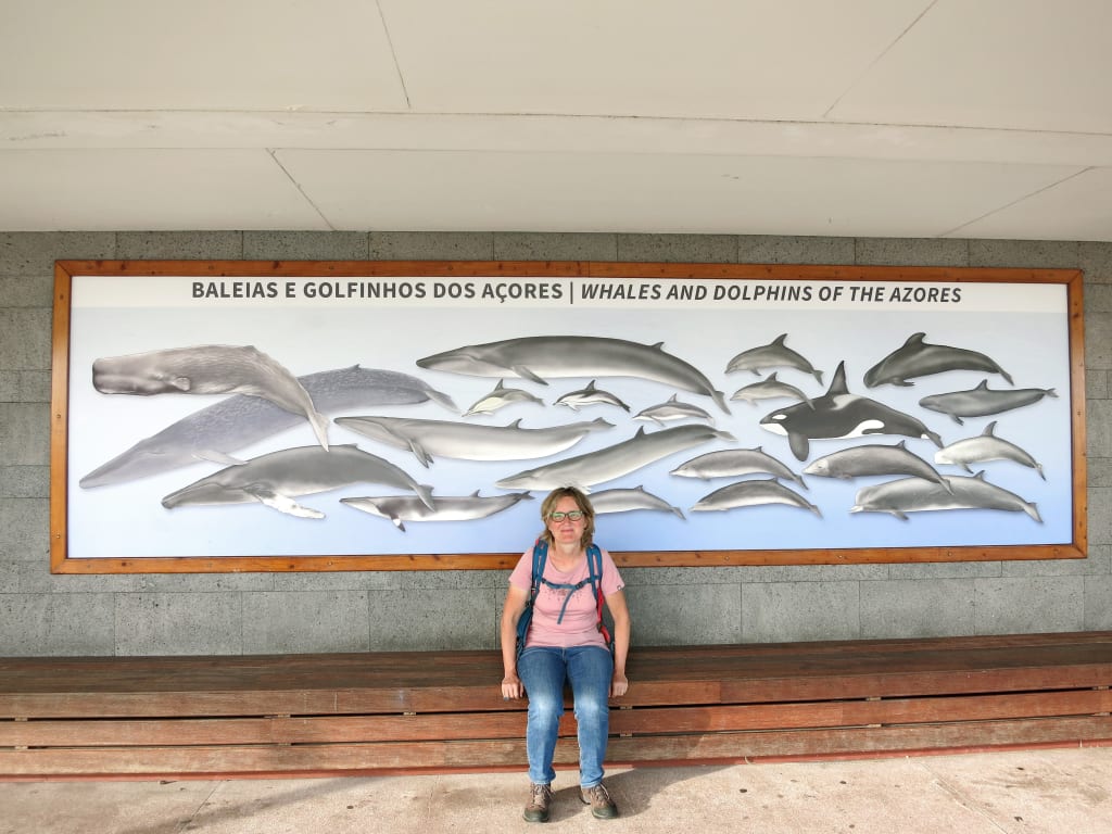 Turista in vacanza con Girolibero al centro informazioni sul whale watching a São Miguel, con illustrazioni di balene e delfini.