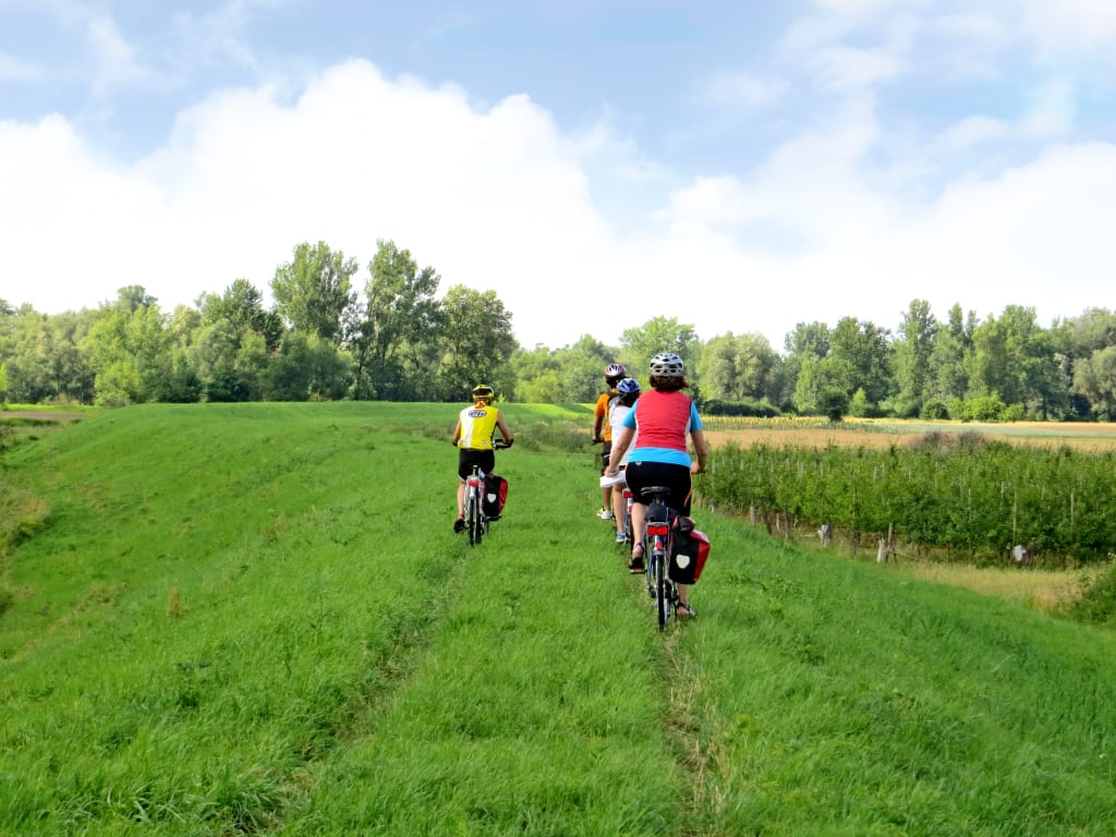 Ciclisti su un sentiero verde, Polonia da Cracovia a Varsavia.