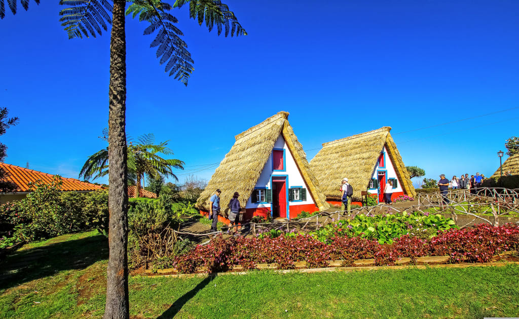 Panorama con capanne tipiche e palme in spiaggia, isola di Madeira