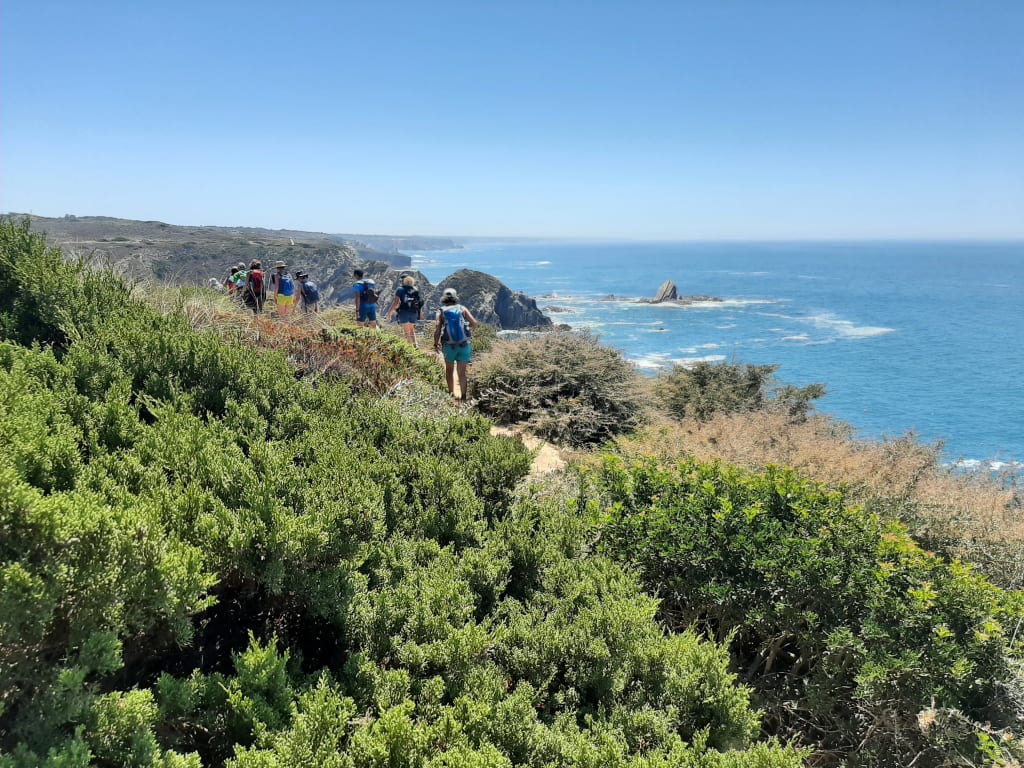 Vista panoramica sul mare e le colline dell'Algarve dalla Rota Vicentina.