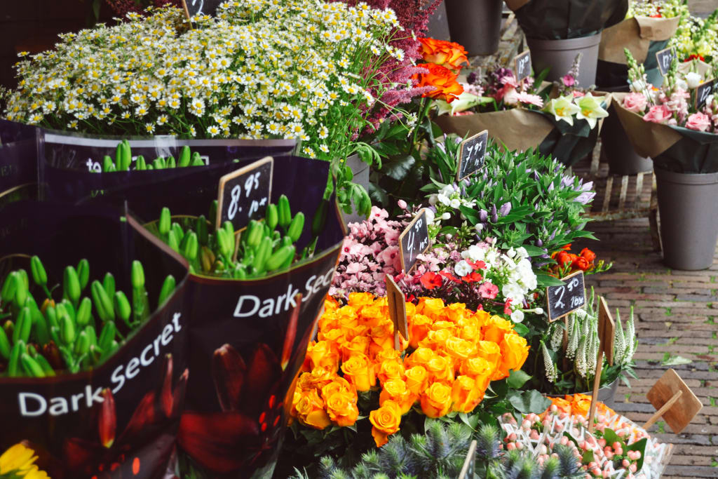 Banco di fiori e piante al mercato di Amsterdam, colori e tradizione olandese.
