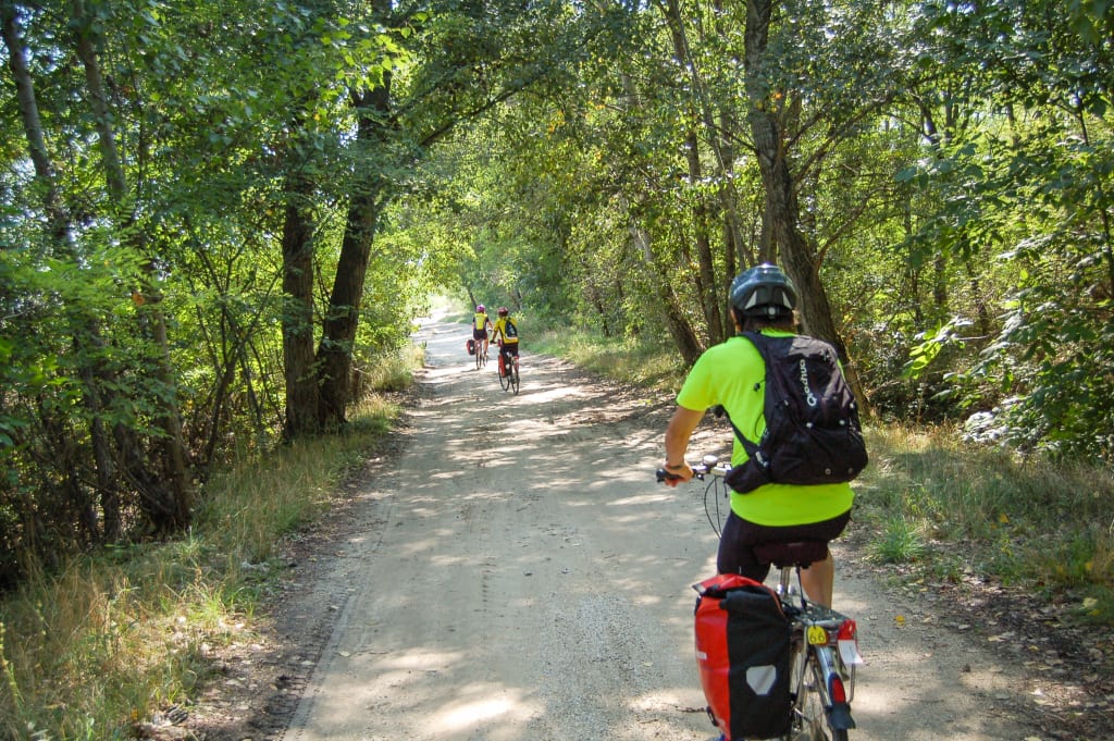 Ciclista su una pista ombreggiata da alberi lungo la ciclabile del Danubio.