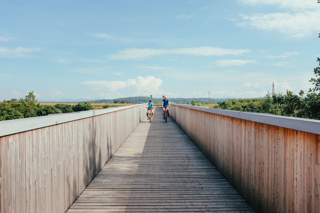 Passerella in legno, pista ciclabile con vista sul Danubio sotto un cielo azzurro.