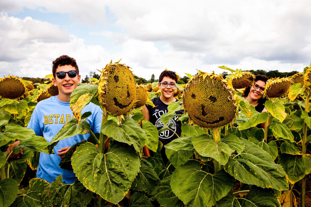 Francia in bici per famiglie, ragazzi in mezzo a un campo di girasoli