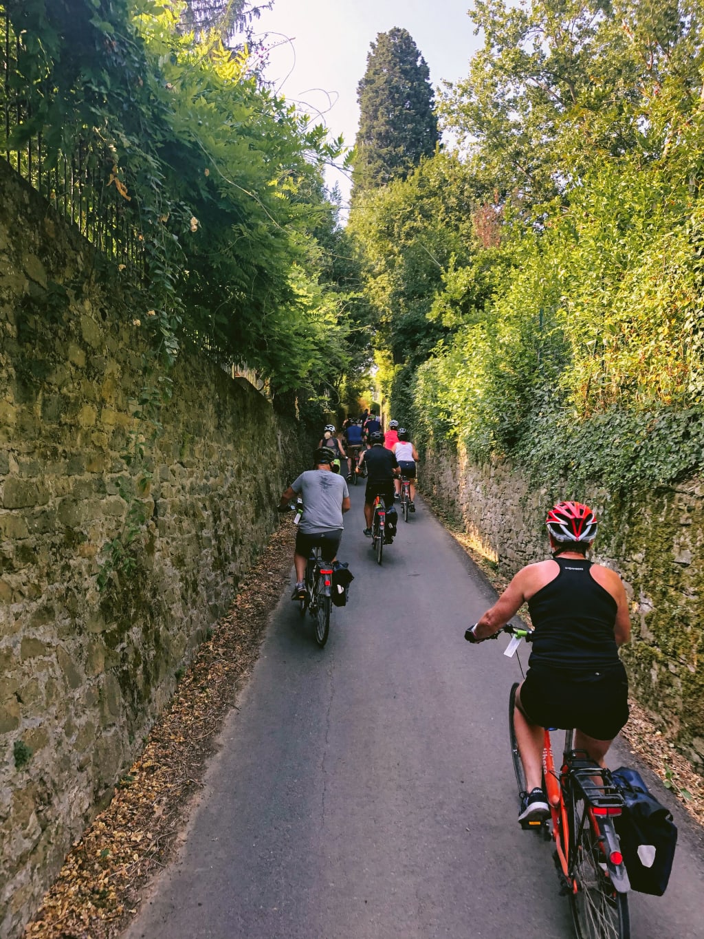Ciclisti in vacanza in bicicletta con Girolobero che percorrono una strada ombreggiata circondata da alberi e muri di pietra nella campagna toscana, Italia.