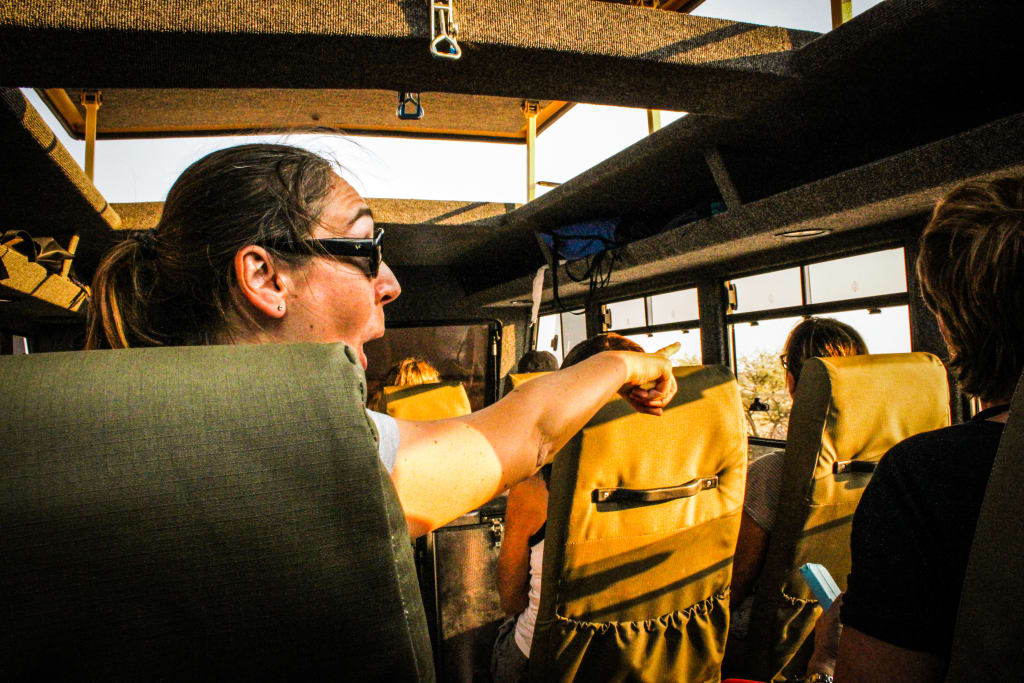 Escursionisti che osservano gli animali durante un safari in Namibia.