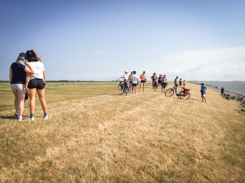 Group of cyclists crossing a flat rural landscape, Frisian Islands